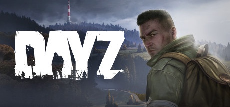 DayZ: Key - Buy DayZ. These providers are available