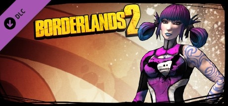 Borderlands 2 assassin build guide