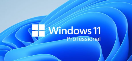 Cheapest Windows 11 Pro (64bit OEM)