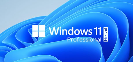 Buy Windows 11 Professional RETAIL Software Software Key 