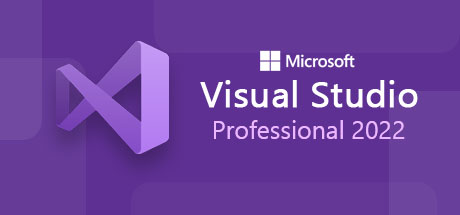 Buy Microsoft Visual Studio 2022 Professional Software Software Key ...