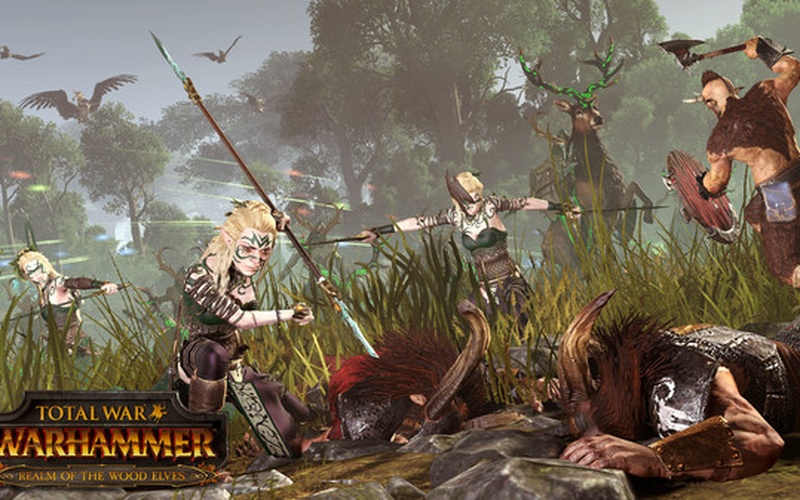 Total War: WARHAMMER - Realm of The Wood Elves EUROPE