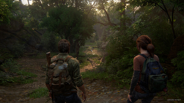 The Last of Us Part 1 Standard Edition for PC Steam Key