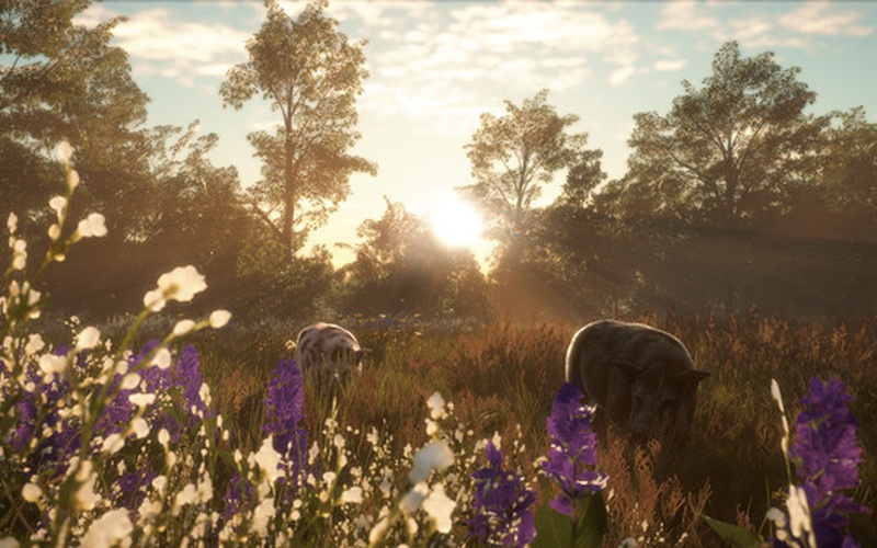 theHunter: Call of the Wild - Mississippi Acres Preserve EUROPE